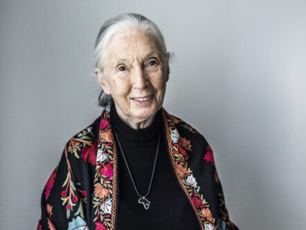 Photo by Ibl/Shutterstock (9695989d) Jane Goodall Jane Goodall photoshoot, Stockholm, Sweden - 21 May 2018