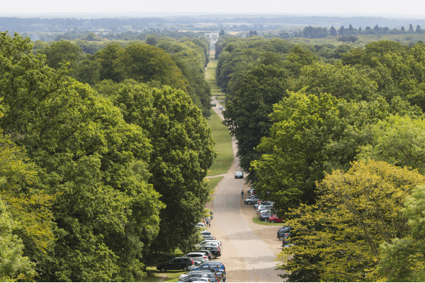 National Trust Update on Vision for Ashridge Estate - Living Magazines